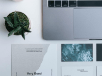 The Role of Solution Architects in Effective Solution Design for Web Development